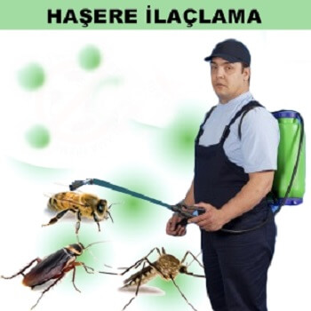 Tire Böcek İlaçlama